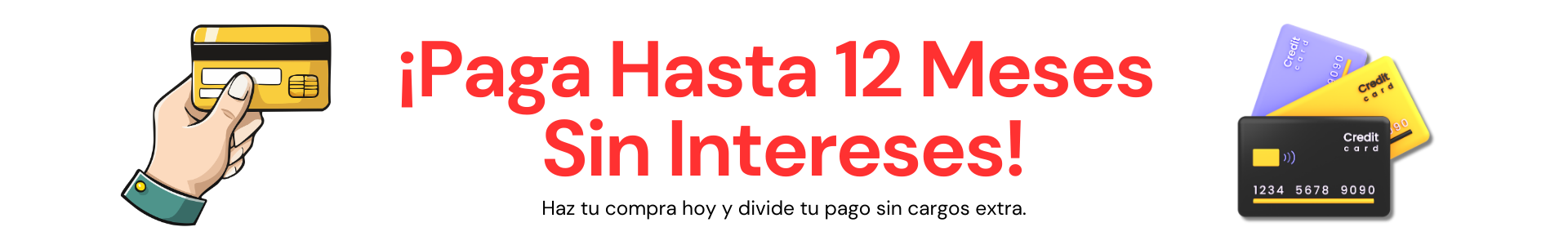 Paga hasta 12 Meses Sin Intereses Ixtapazo.com.mx